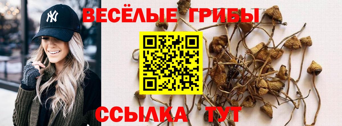 Псилоцибиновые грибы мухоморы Кумертау